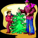 Find a local Christmas Tree Farms